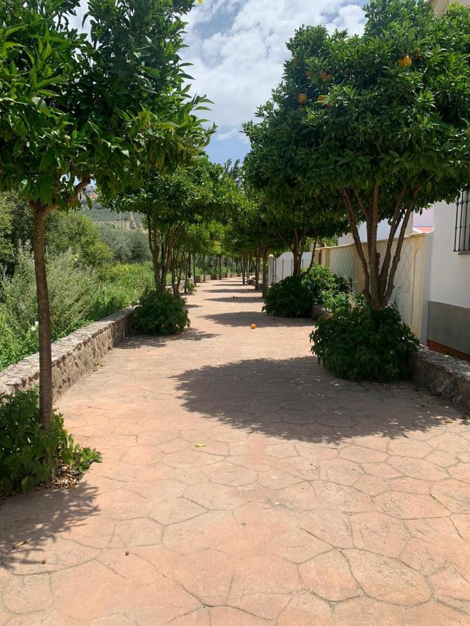 Apartamento En Cuevas Del Becerro ภายนอก รูปภาพ